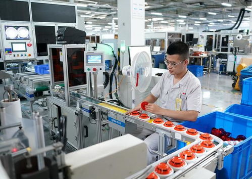 河北秦皇島 擘畫藍(lán)圖，打造電子信息和智慧消防產(chǎn)業(yè)新高地